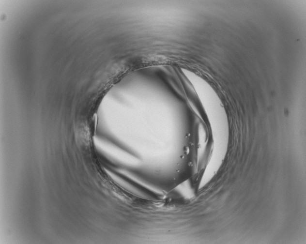 X0000070230617200606161734