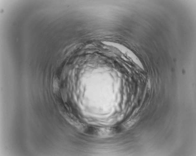 X0000070230623200606161734