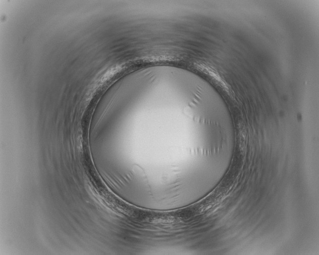 X0000070230631200606161733
