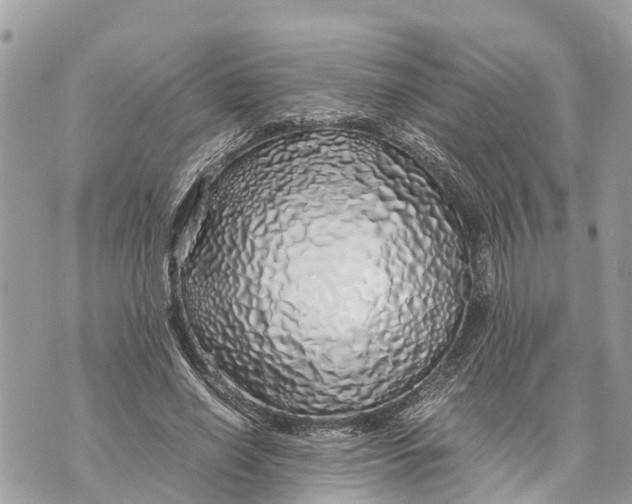 X0000070230638200606161734