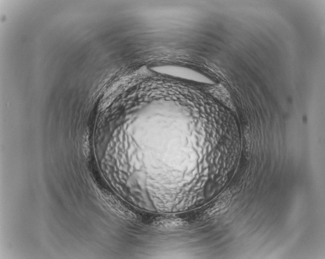 X0000070230642200606161734
