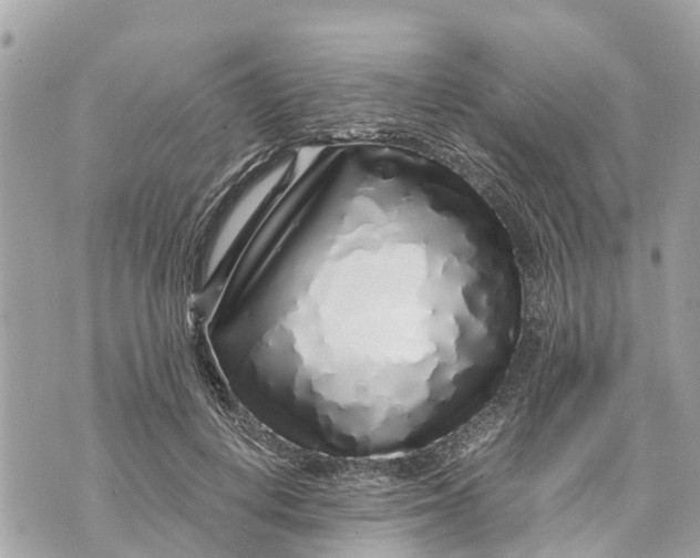 X0000070230648200606161734