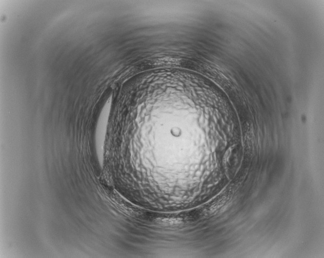 X0000070230649200606161734