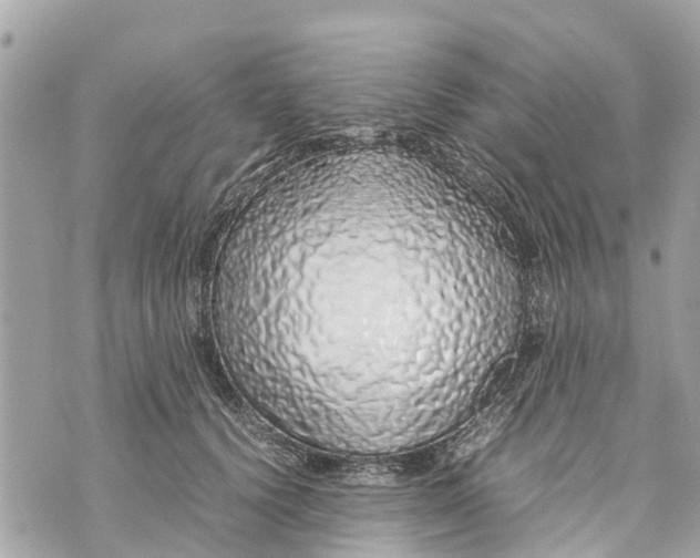 X0000070230656200606161734