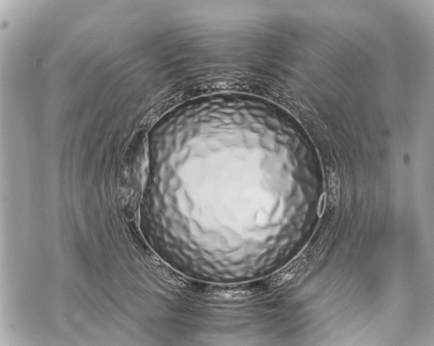 X0000070230657200606161734