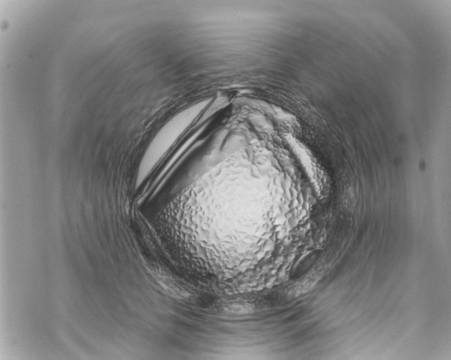 X0000070230658200606161734