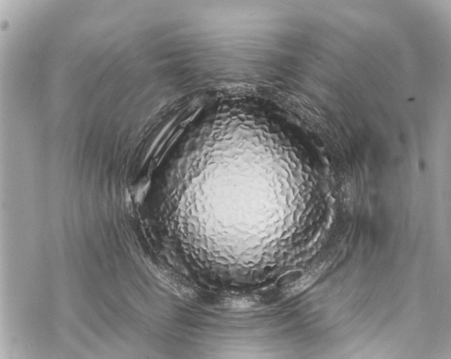 X0000070230662200606161734