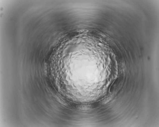 X0000070230664200606161734
