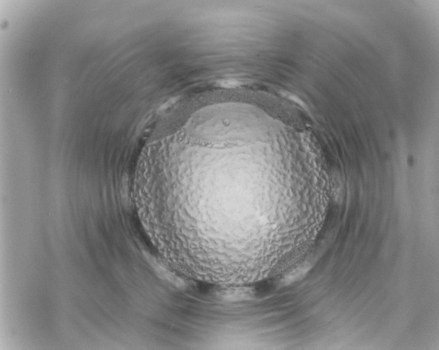 X0000070230670200606161734