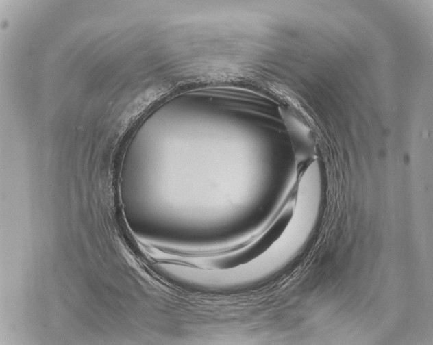 X0000070230677200606161733