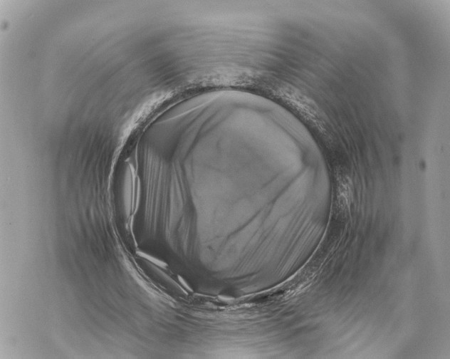 X0000070230678200606161733
