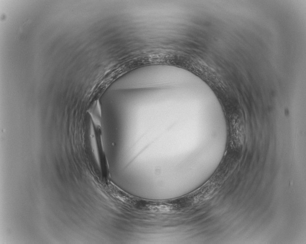 X0000070230698200606161733
