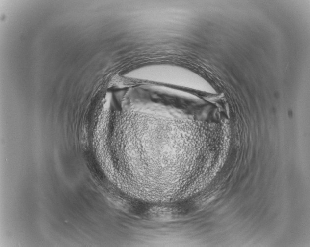 X0000070230699200606161733
