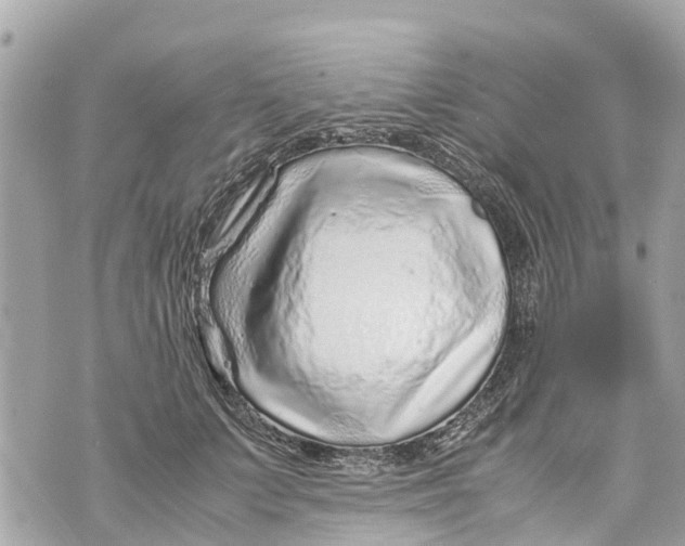 X0000070230703200606161733