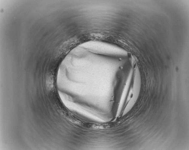 X0000070230706200606161733