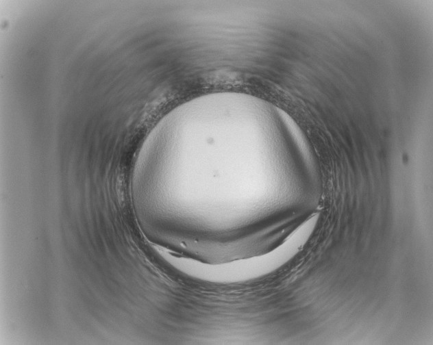 X0000070230708200606161733