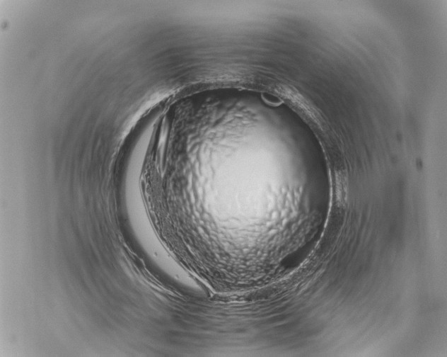 X0000070230723200606161732