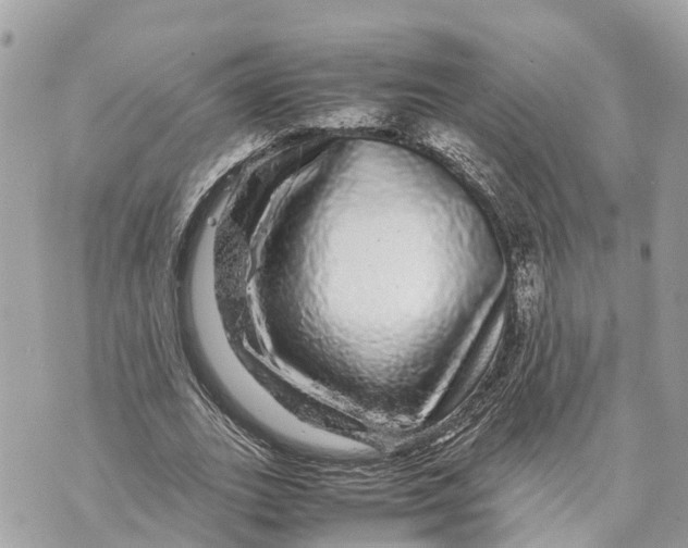 X0000070230727200606161732