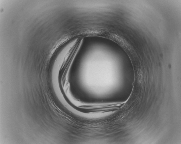 X0000070230731200606161732