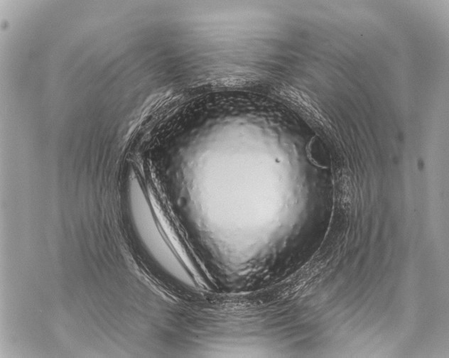 X0000070230738200606161732