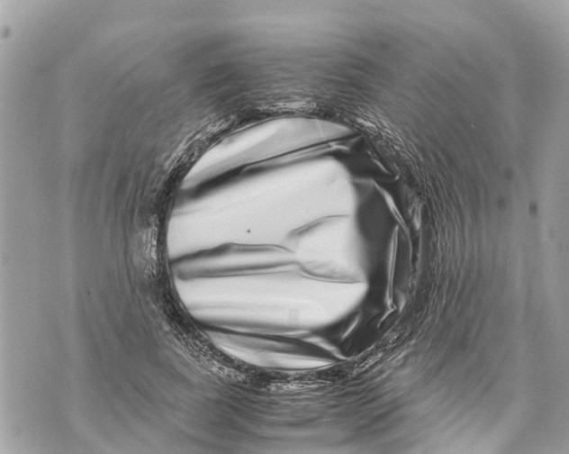 X0000070230739200606161732