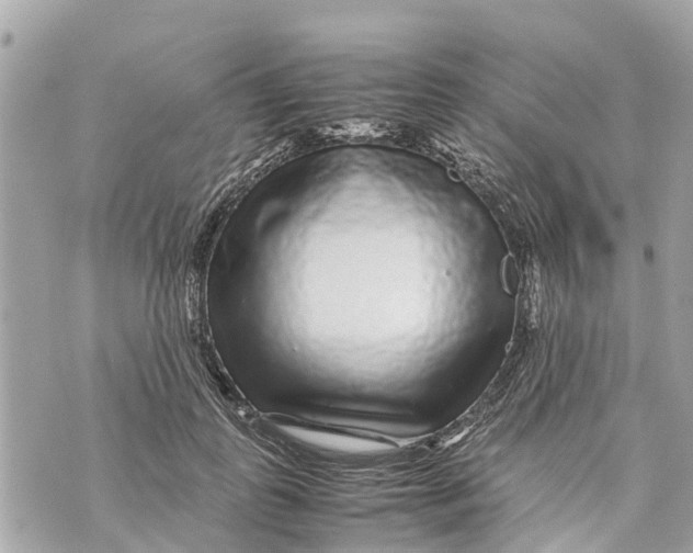 X0000070230747200606161732
