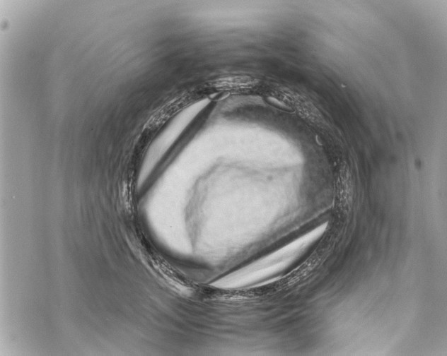 X0000070230755200606161732