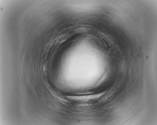 X0000070230759200606161732