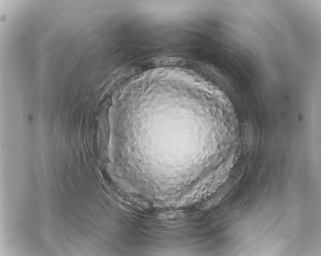 X0000070230761200606161732