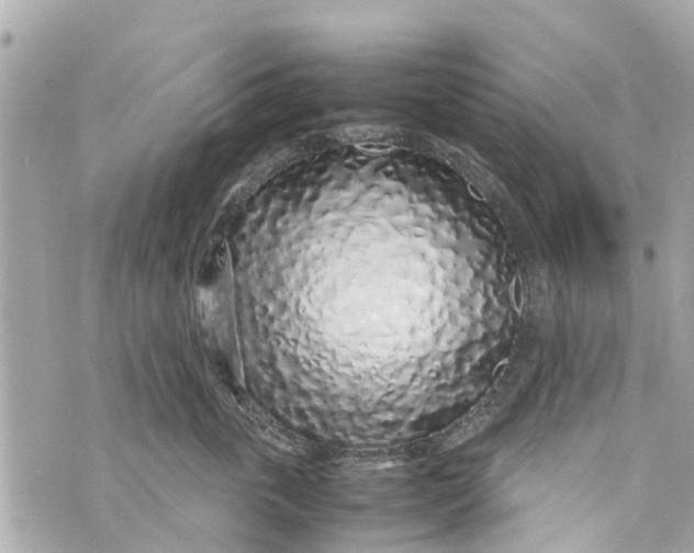 X0000070230763200606161732