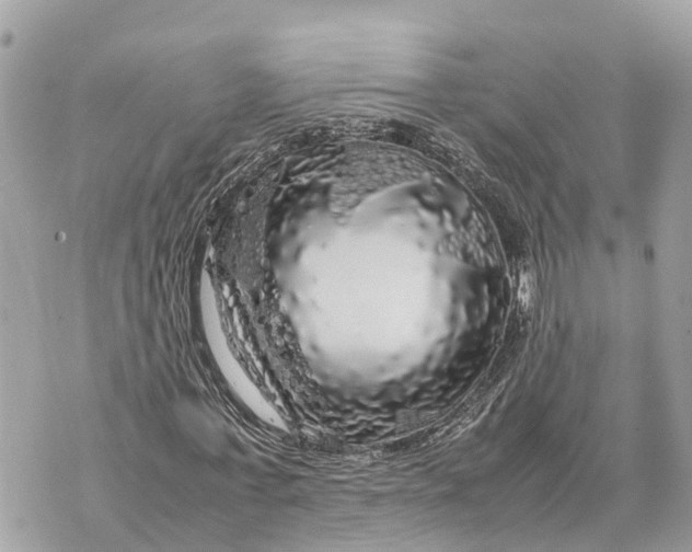X0000070230771200606161732