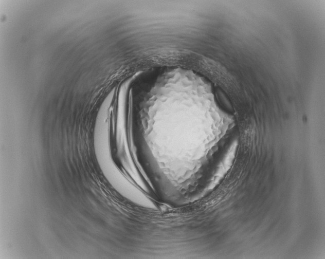 X0000070230772200606161732