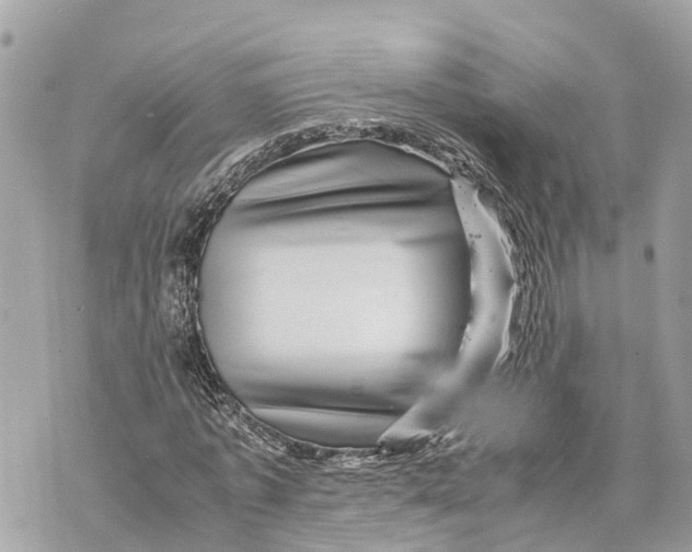 X0000070230773200606161732