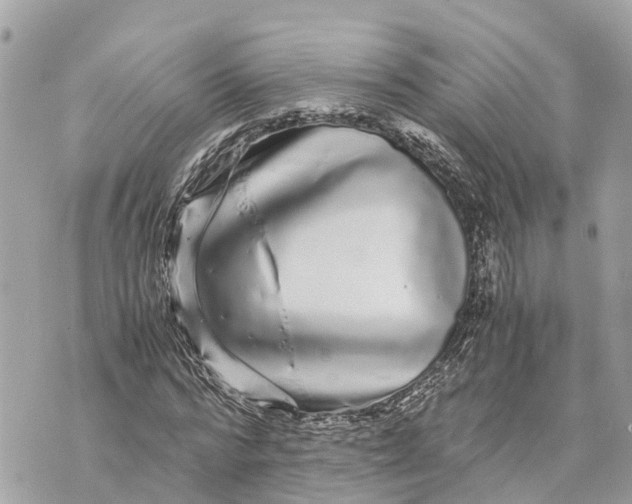 X0000070230776200606161732