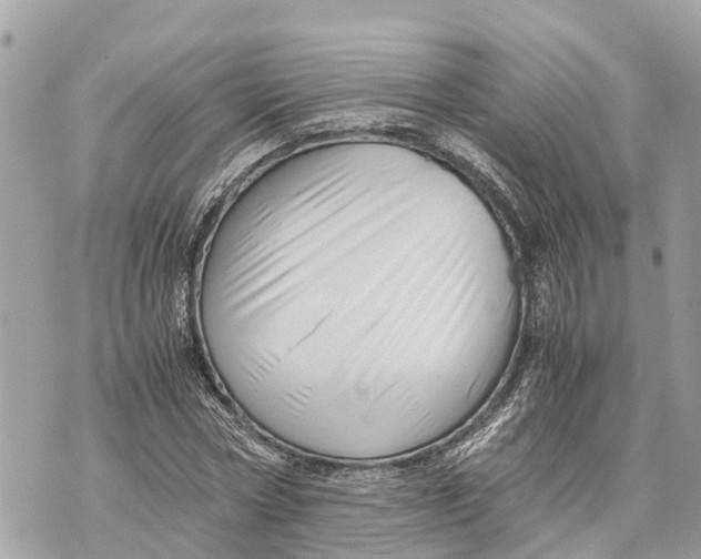 X0000070230778200606161732
