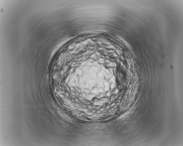 X0000070230779200606161732