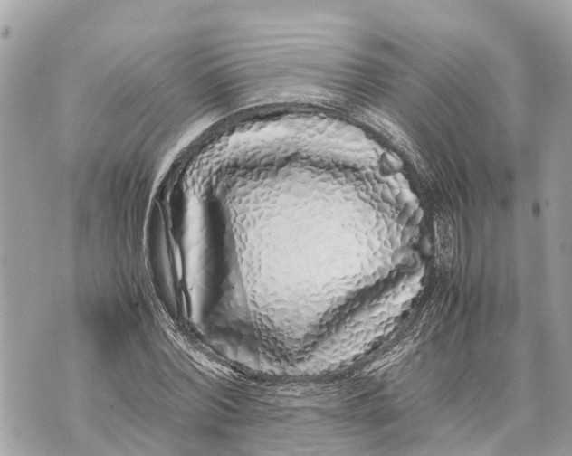 X0000070230780200606161732