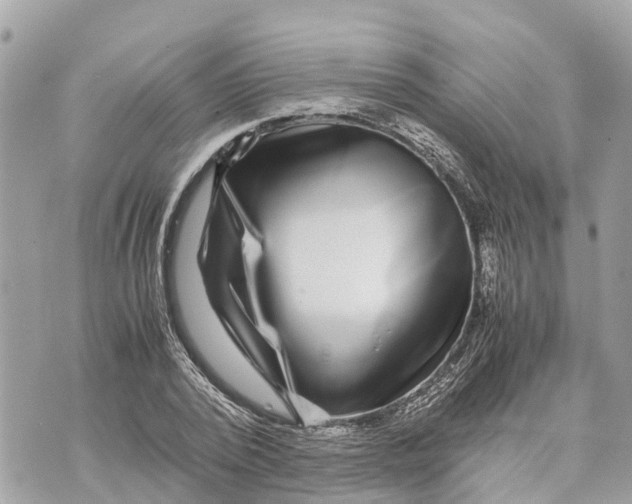 X0000070230784200606161731