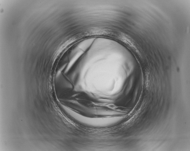 X0000070230786200606161731