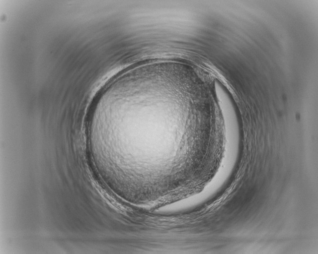 X0000070230787200606161731