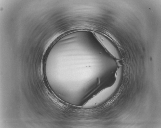 X0000070230788200606161731
