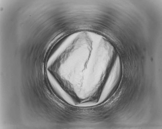 X0000070230790200606161731