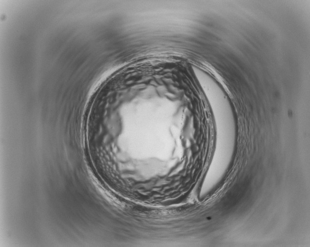 X0000070230795200606161731