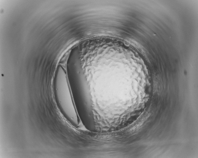 X0000070230798200606161731