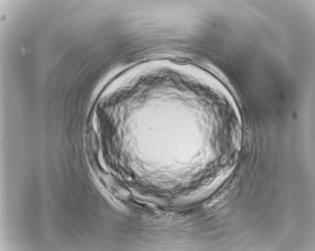 X0000070230811200606161731