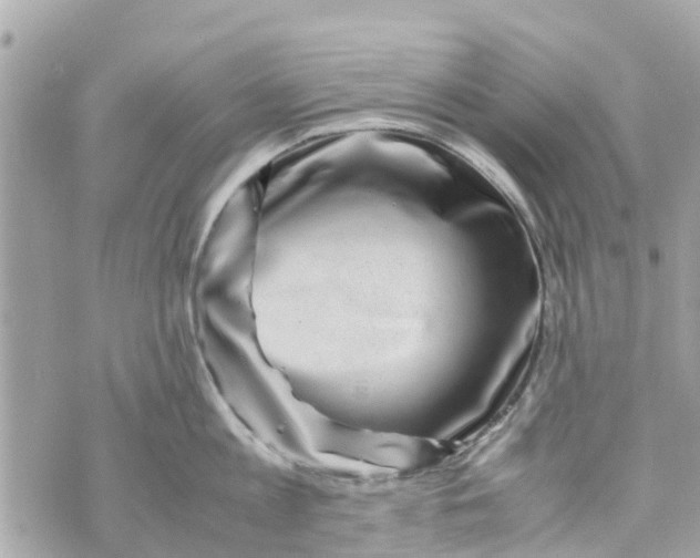 X0000070230813200606161731