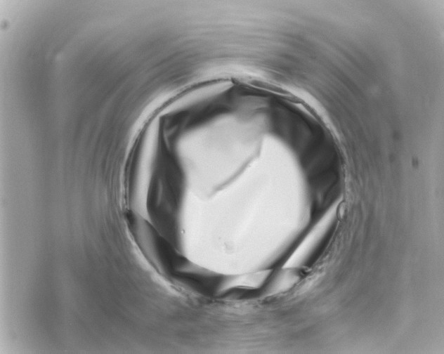 X0000070230815200606161731