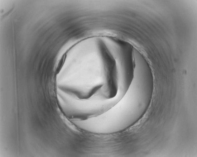X0000070230816200606161731
