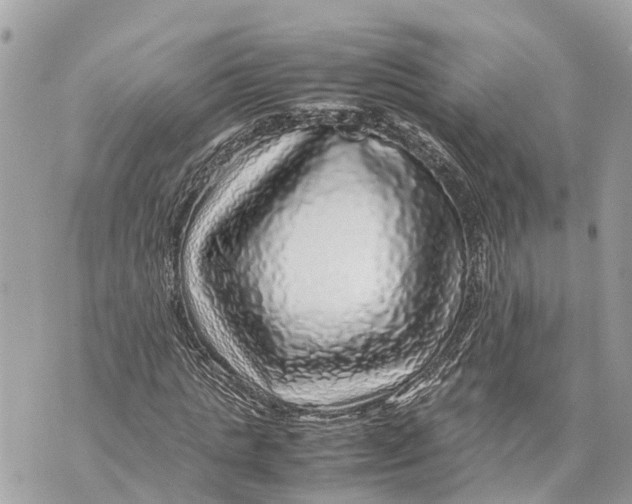 X0000070230821200606161730