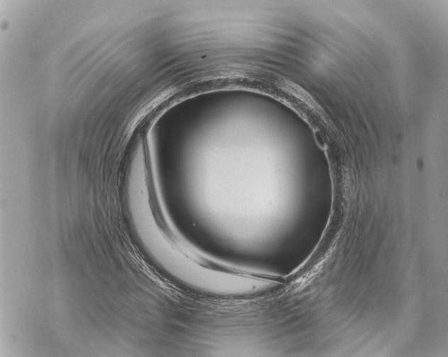 X0000070230826200606161730